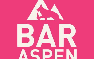 BAR ASPEN AUKEAA 25.2